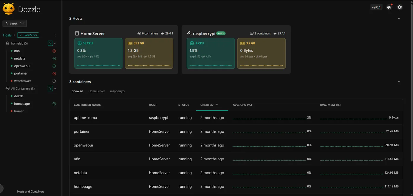 Dozzle showing both hosts and their running containers